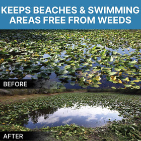Weed Razer chemical free removal highlights eco friendly weed control