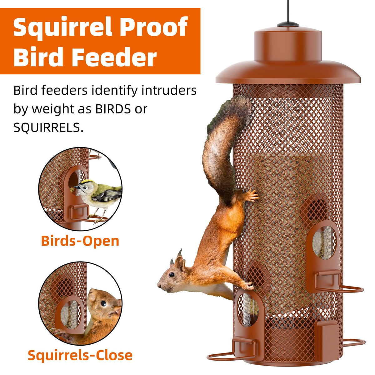 WeeFeetc weight-activated mechanism deters heavy intruders while finches feed.