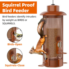 WeeFeetc weight-activated mechanism deters heavy intruders while finches feed.