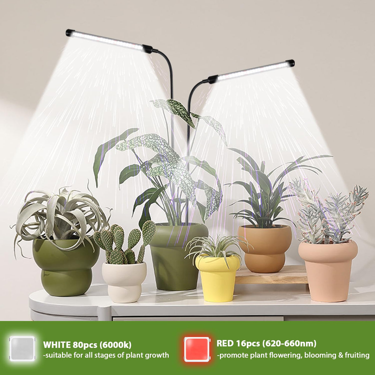WeeLeeGoo Grow Light compact design ideal for succulents and bonsai.