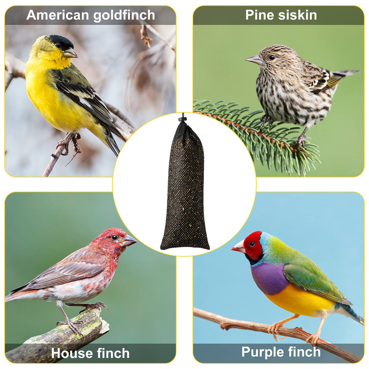 Weewooday outdoor bird feeder set up in a sunlit garden