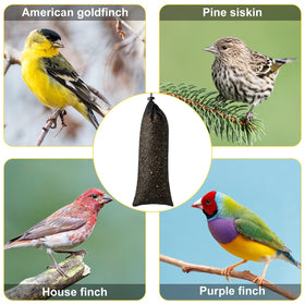 Weewooday outdoor bird feeder set up in a sunlit garden