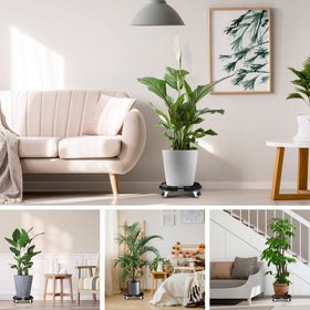 WEIBIDA suitable for indoor and outdoor tasks, from plants to heavy containers