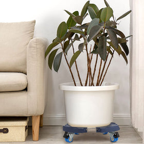 Weibida plant caddy heavy-duty frame supports large pots with stable rolling