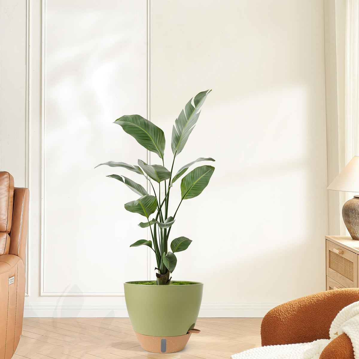 WEICHENGXING durable plastic planter suitable for indoor and outdoor use