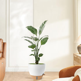 WEICHENGXING modern design indoor outdoor pot for decor