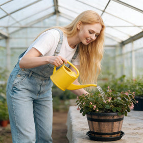 WEICHENGXING saucer included protects surfaces while watering
