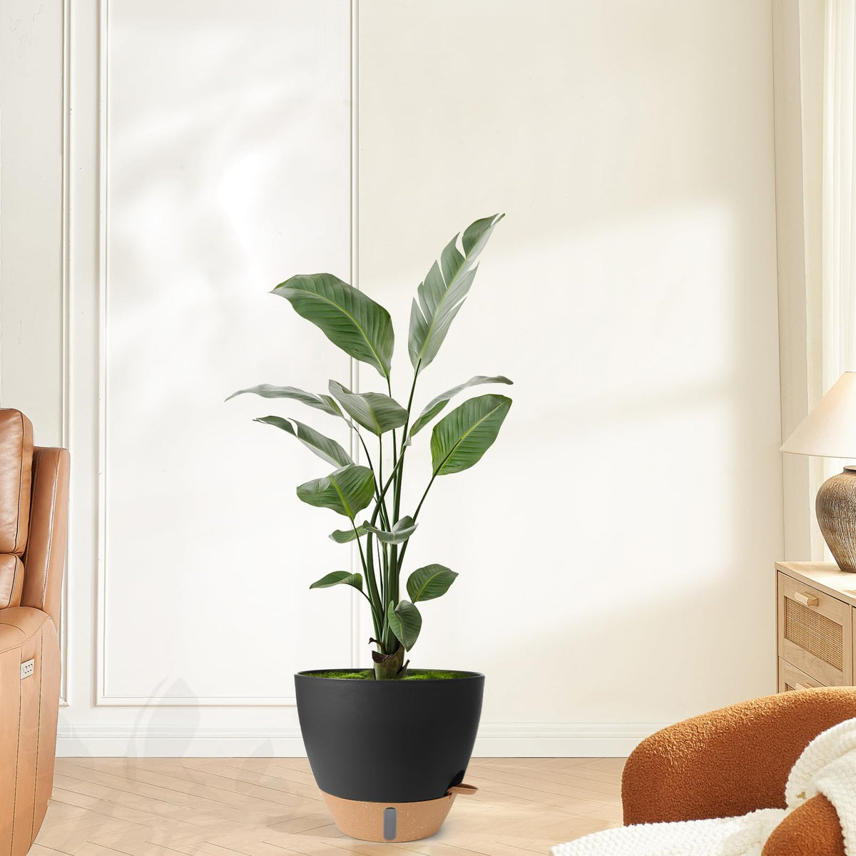 WEICHENGXING self-watering pot set multi size convenient care for plants