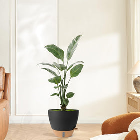 WEICHENGXING self-watering pot set multi size convenient care for plants