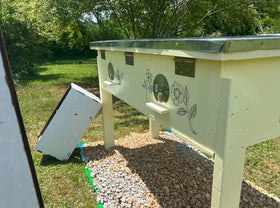 WEICHUAN easy-install hive discs highlight practical setup in beekeeping workflow.