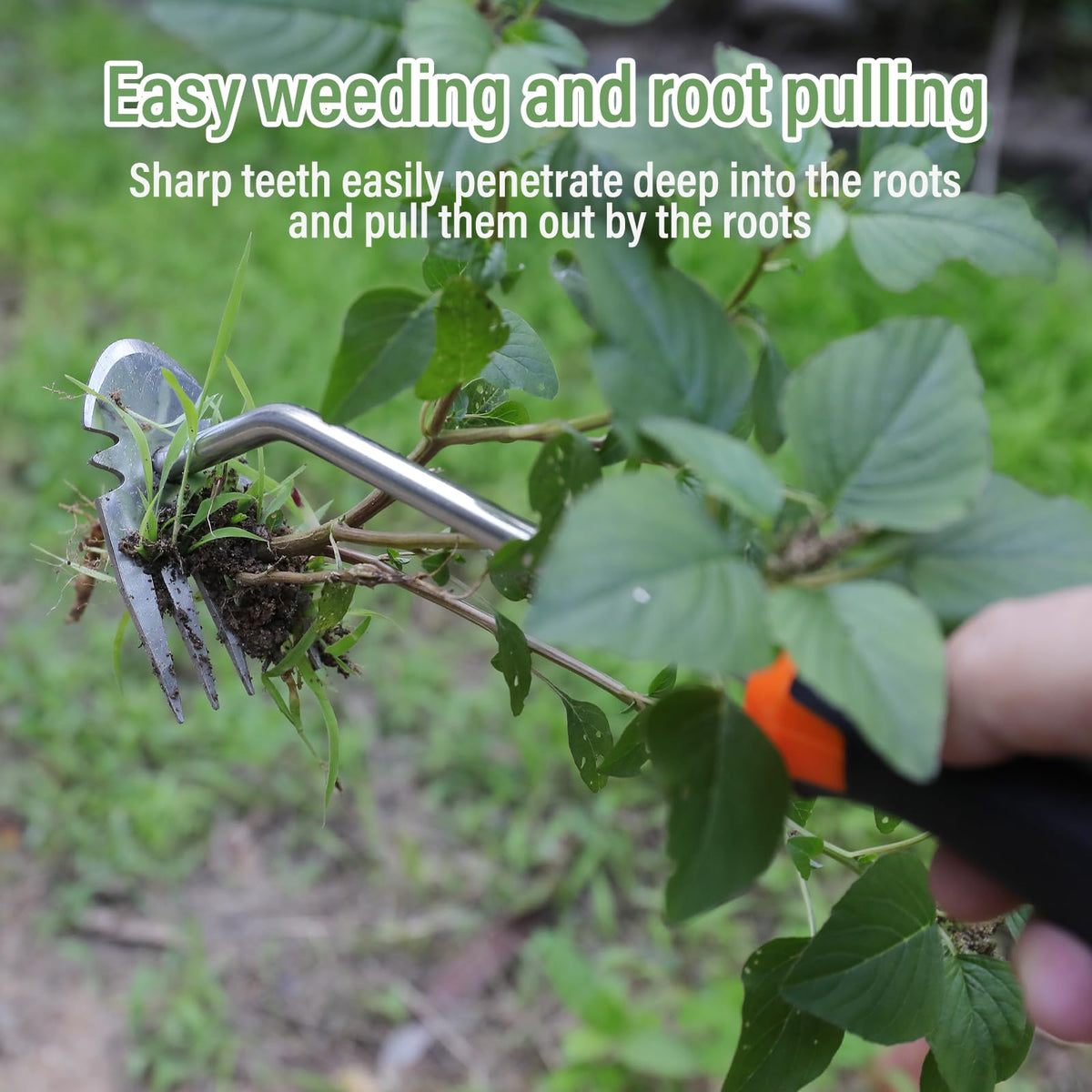 Weivone weeding tool highlights four sharp teeth for precise weeding.