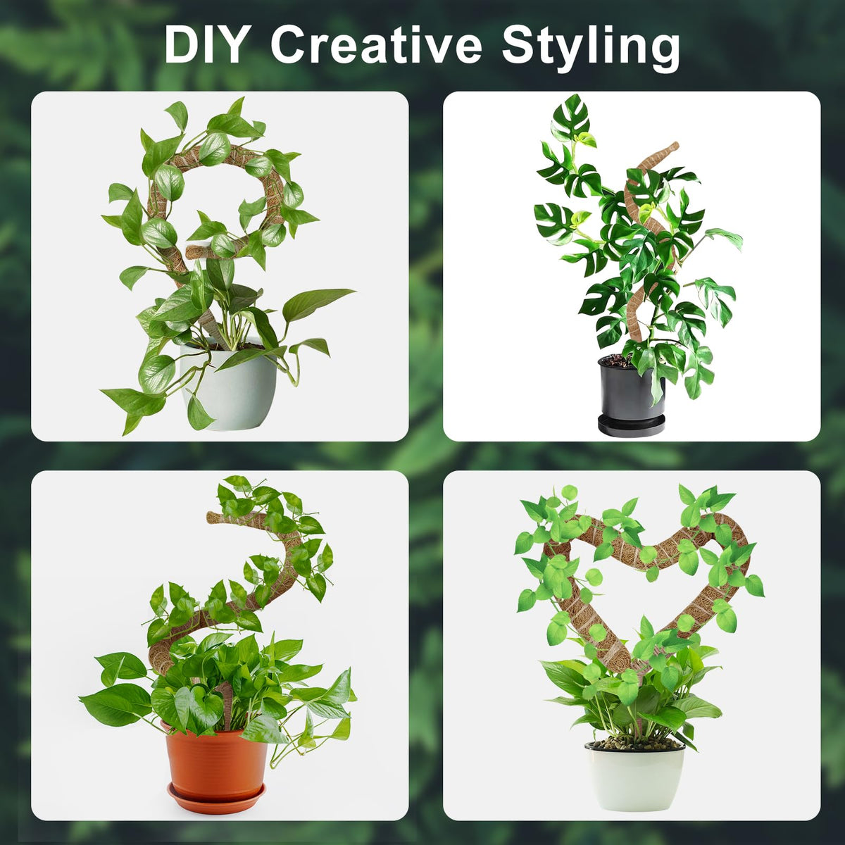 Bend the moss pole into heart, arch, or spiral for stylish plant display.