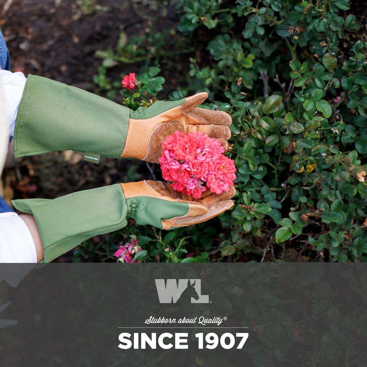 Wells Lamont Rosetender gloves full-arm protection during heavy pruning