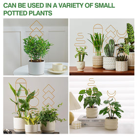 WellSign 16-inch gold plant trellis pattern B enhances decor while guiding stems for neat growth