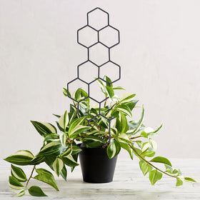 WellSign indoor-outdoor trellis offers versatile use for various pots.