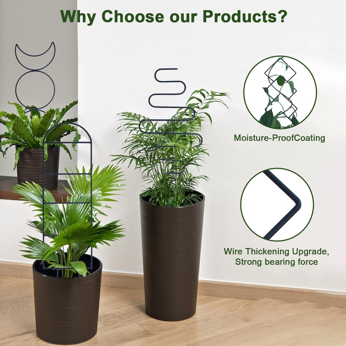 WellSign pattern-3 trellis helps small plants reach light in style