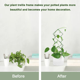 WellSign pattern-4 trellis adds geometric charm and plant structure