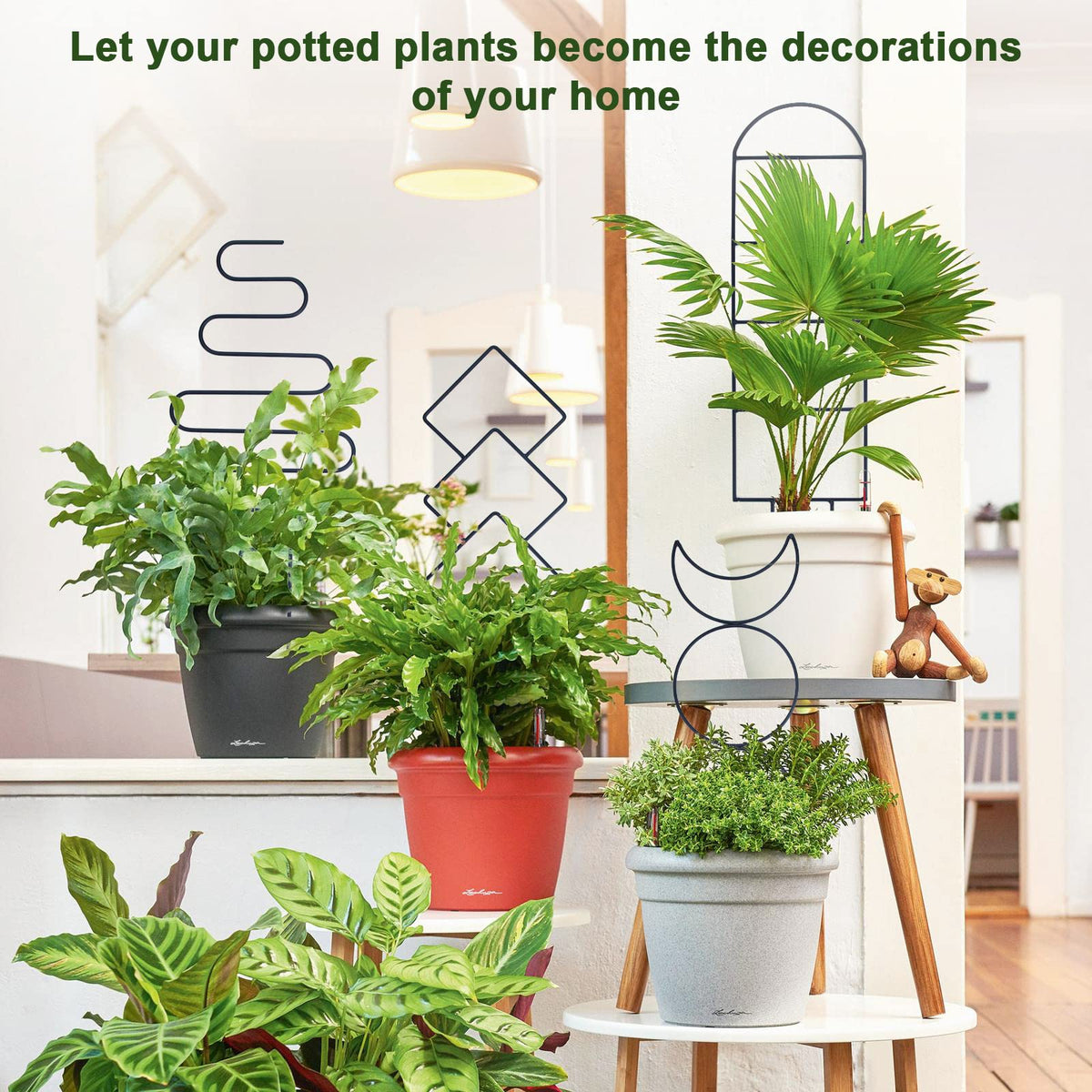 WellSign pattern-6 trellis enhances space with neat plant training