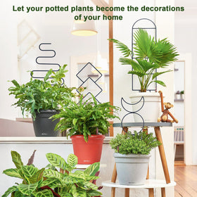 WellSign pattern-6 trellis enhances space with neat plant training