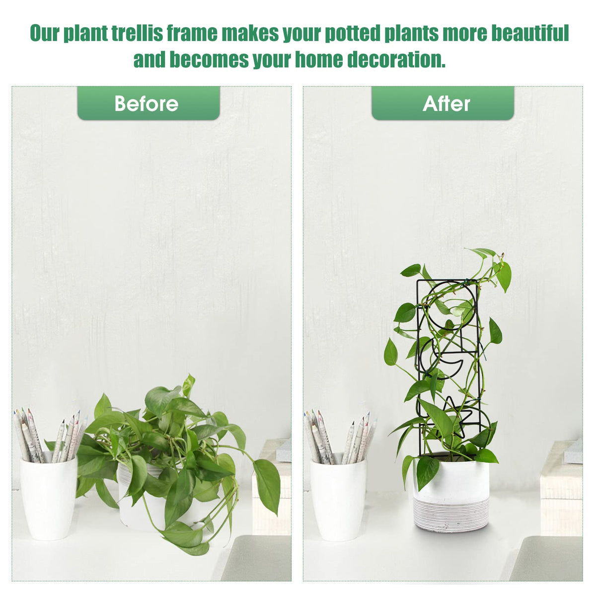 WellSign indoor-outdoor trellis setup demonstrates versatile garden aesthetics for pots.