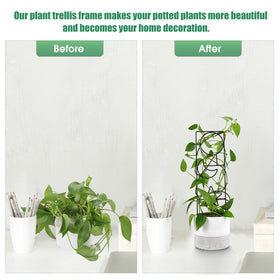 WellSign indoor-outdoor trellis setup demonstrates versatile garden aesthetics for pots.