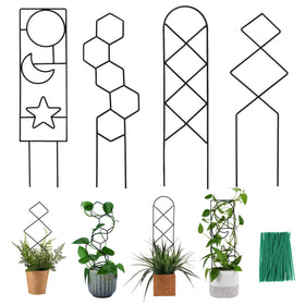 WellSign Pattern A trellis supports climbing vines indoors for neat vertical growth.