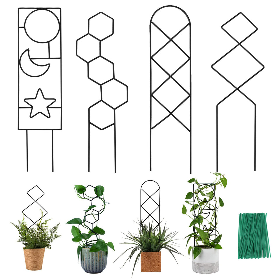 WellSign Pattern A trellis supports climbing vines indoors for neat vertical growth.