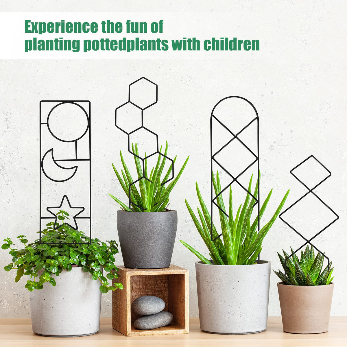 WellSign Pattern D trellis provides sturdy vertical support for climbing blooms.