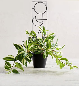 WellSign indoor garden accessory is easy to attach and reposition as vines grow.