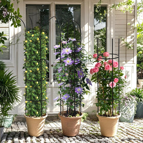 WellSign pure iron construction delivers durable, wobble-free outdoor trellis.