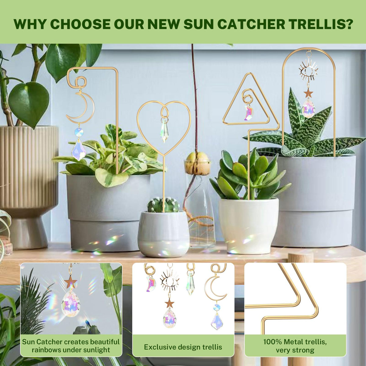 WellSign golden metal lattice enhances mini plant displays with warm light reflections.