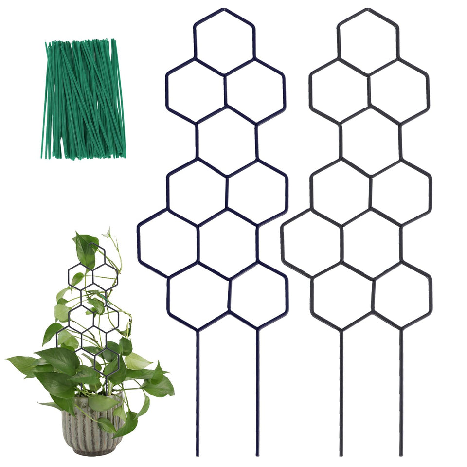 WellSign small trellis with honeycomb pattern supports indoor climbing plants.