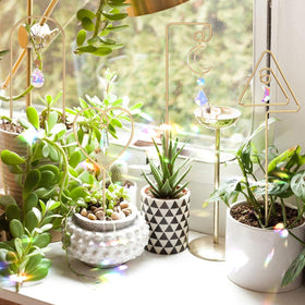 WellSign mini trellis supports ivy creatively for compact windowsill decor.