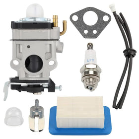 Wellsking PB755ST carburetor package view for replacement planning and clarity