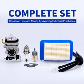 Wellsking WYK192 carburetor comparison image for compatibility context