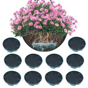Wenfan invisible hanging basket insert keeps display neat while delivering hidden, steady watering.