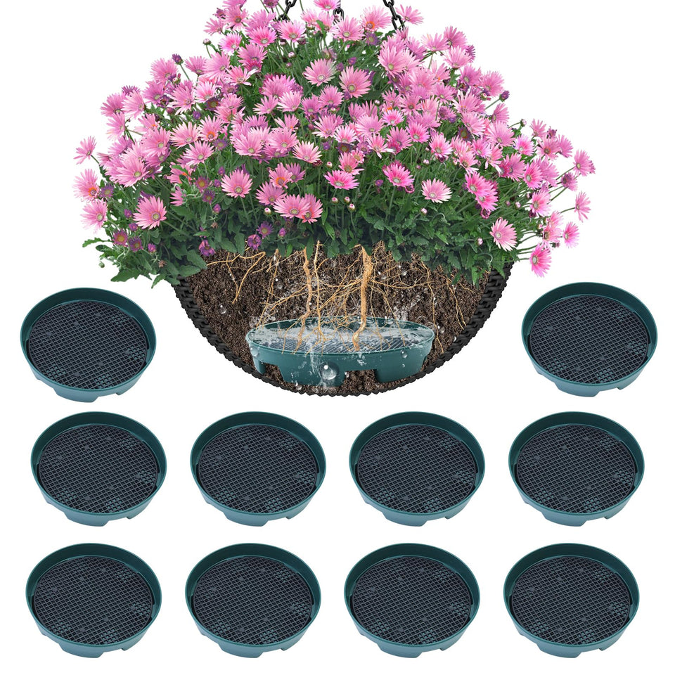 Wenfan invisible hanging basket insert keeps display neat while delivering hidden, steady watering.