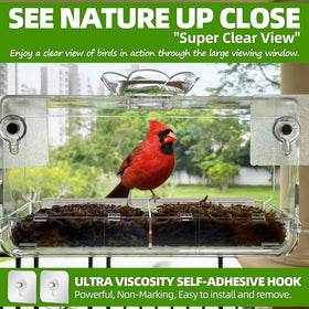 WENMIXER adhesive hooks secure a non-marking window installation.