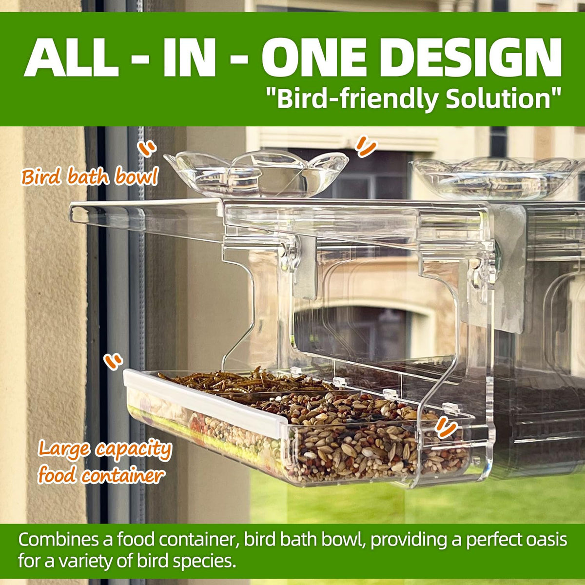 WENMIXER clear-view feeder showcases visiting birds with minimal obstruction.