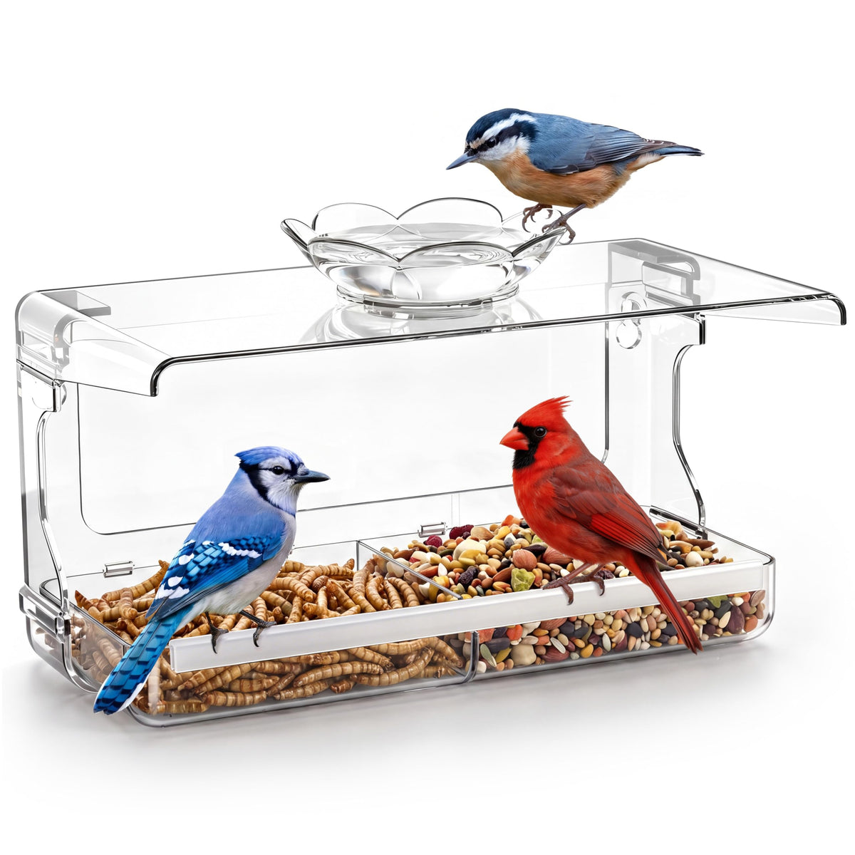 WENMIXER Window Bird Feeder close view for easy indoor birdwatching.
