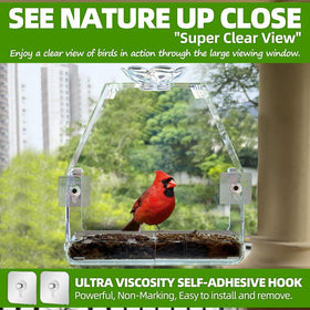 WENMIXER Window Bird Feeder close view offers an up-close look at visiting birds.