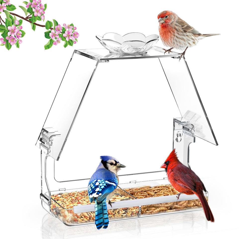 WENMIXER Window Bird Feeder setup with strong suction cups for secure outdoor viewing.