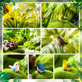 Wenqik miniature birds for learning, DIY projects, and creative home displays.