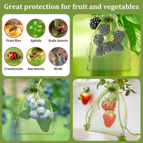 WenTao eco-friendly berry protection bags support sustainable gardening
