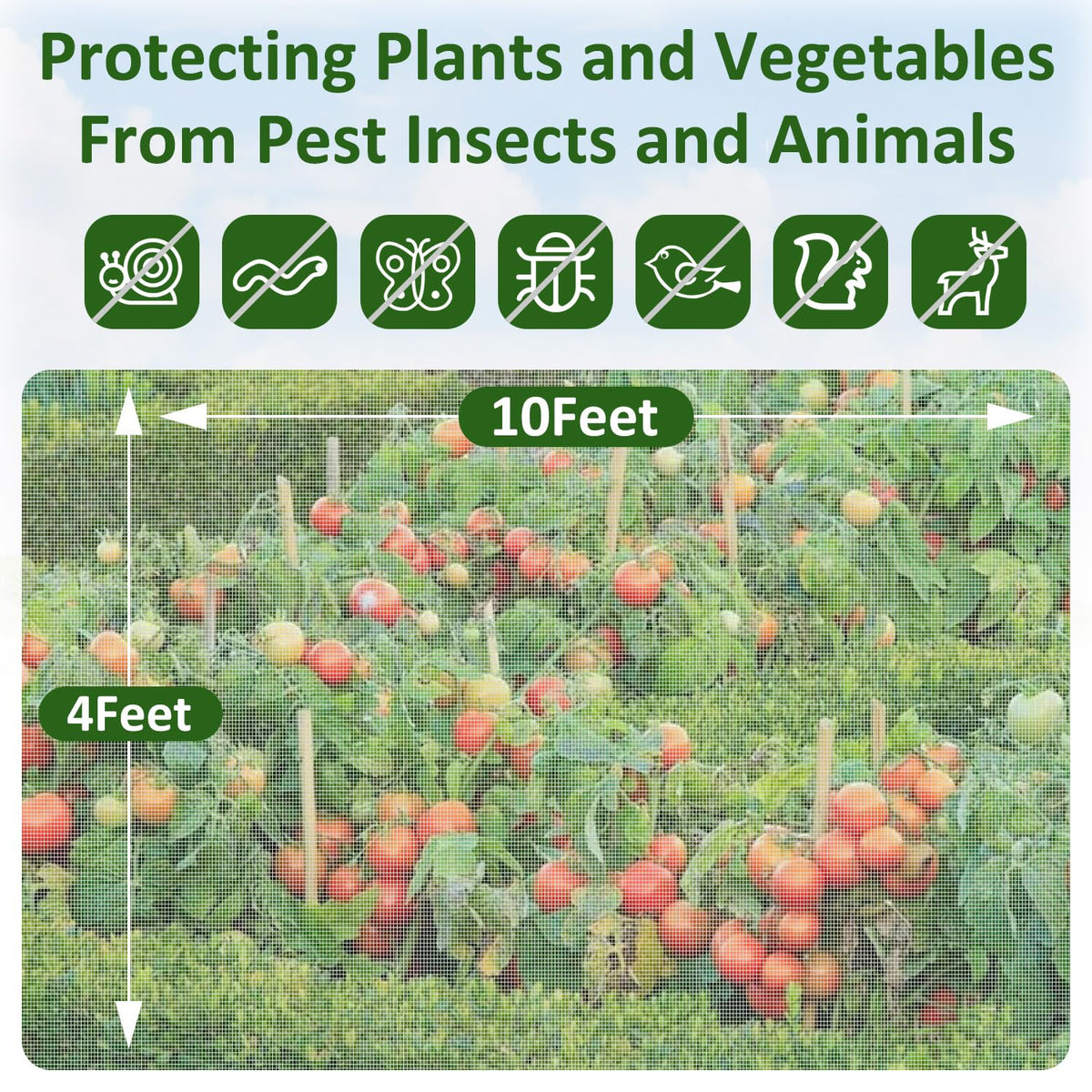 WenTao Ultra Fine Netting on raised beds supports growth and protects crops.
