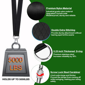 Werfeito 8ft straps installed on a tree using the protector to reduce friction.
