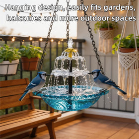 WesGen transparent basin allows close viewing of bird activity from indoors.