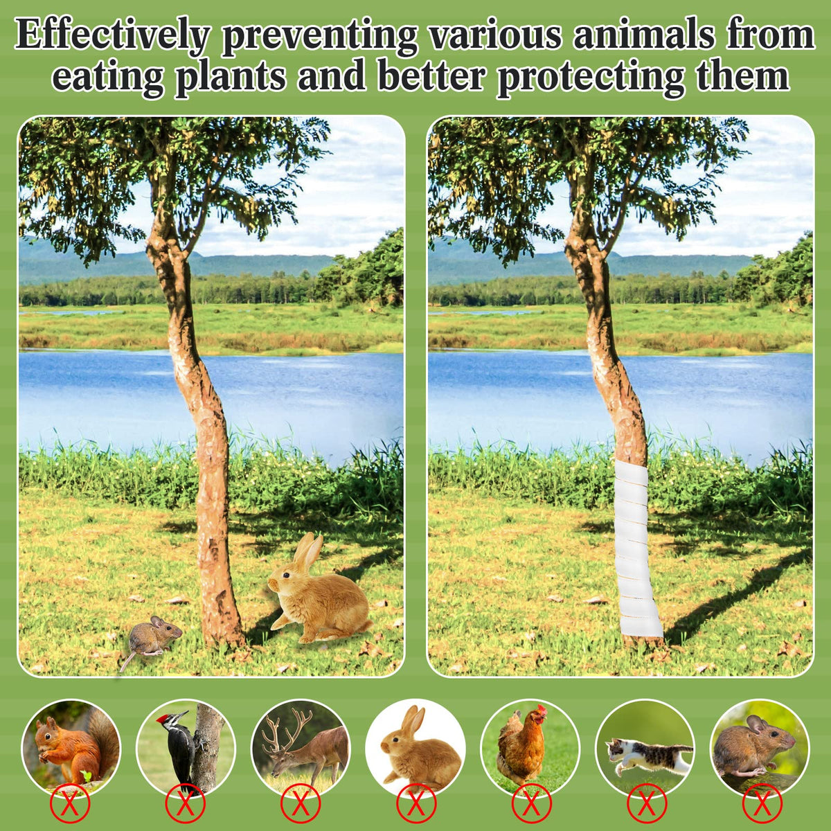 Wesiti garden tree wrap guard shields saplings in outdoor settings.