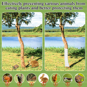 Wesiti garden tree wrap guard shields saplings in outdoor settings.