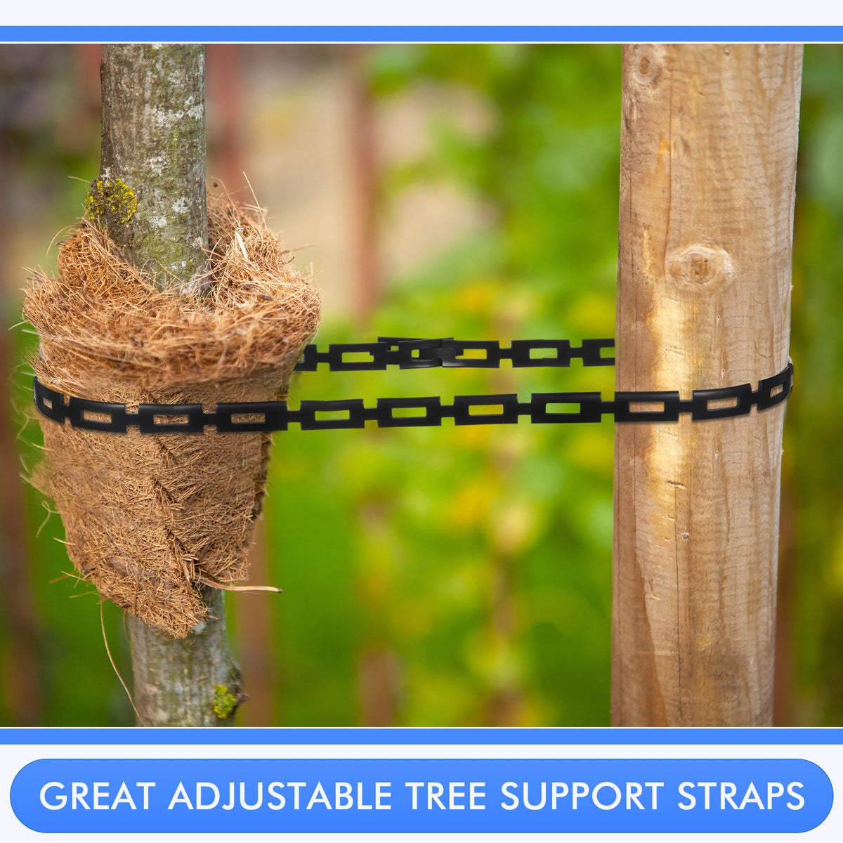Wesiti tree support strap threaded through buckle for quick setup